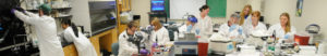 picture of students in a lab