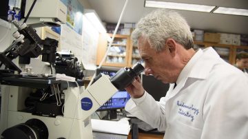 Photo of Craig Cady looking in a microscope
