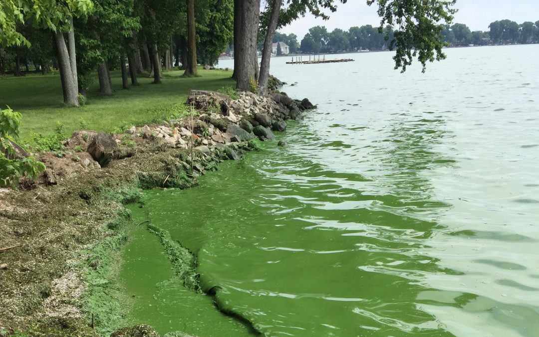 UWO awarded $1.6 million NSF grant for interdisciplinary research on toxic algae